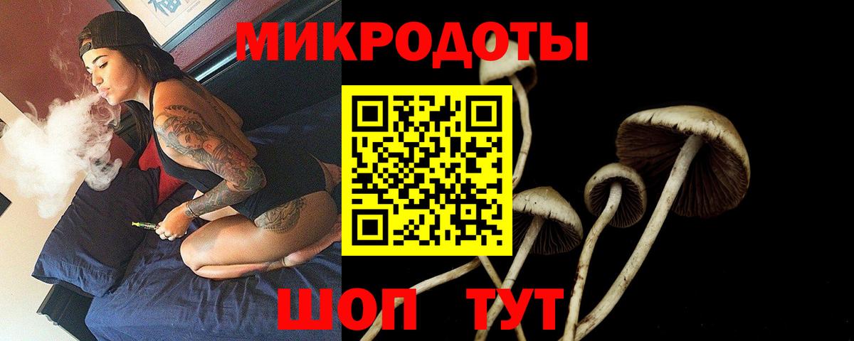 Псилоцибиновые грибы Psilocybine cubensis  Псилоцибиновые грибы мицелий  Аша  Вход с VPN 